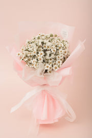 Preserved Dried Flower Bouquet-Charming Ixodia - Blush Pink-Love Limzy Co.