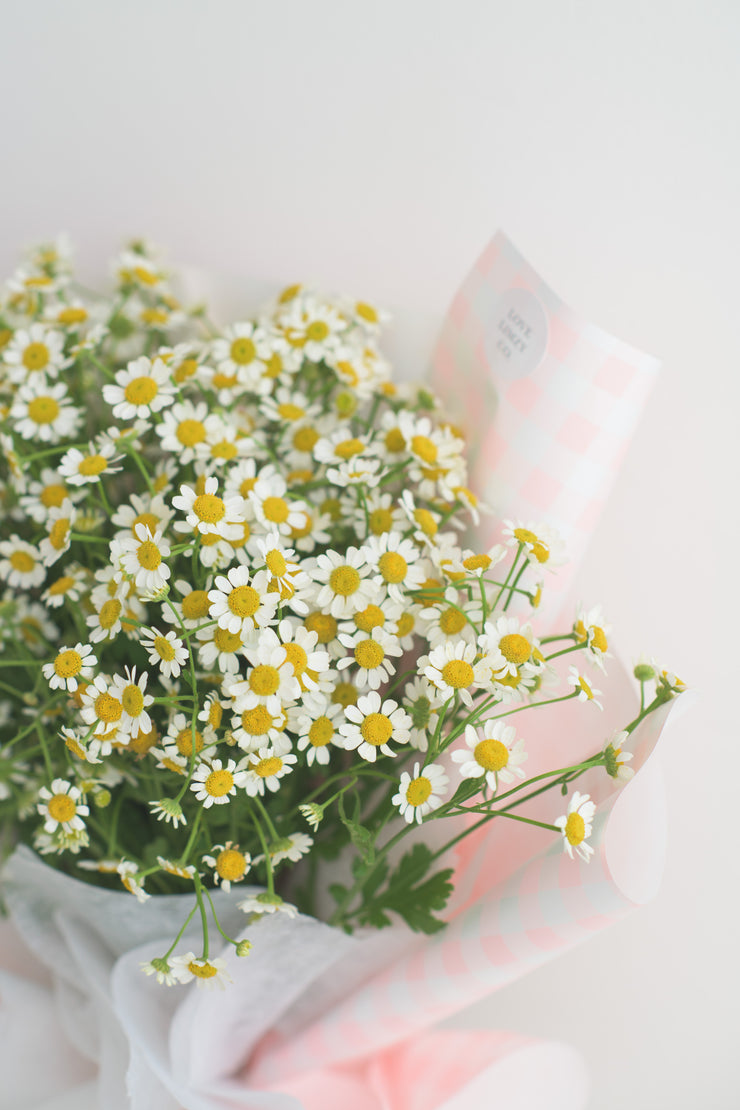 My Lovely Chamomile Bouquet
