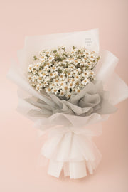 Preserved Dried Flower Bouquet-Charming Ixodia - White Silver-Love Limzy Co.
